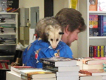 writer and possum